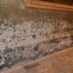 2021-Ante Restauro parete sx