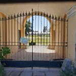 2atrio sommerso dalla vegetazione