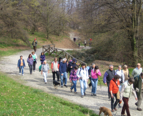 Camminata in Collina