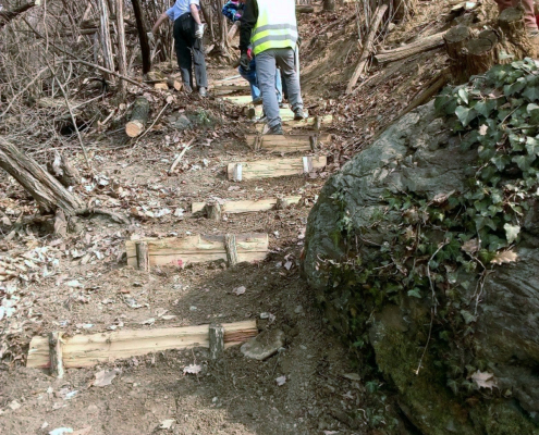 Costruzione di gradini lungo un sentiero della collina torinese