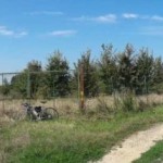 Panoramica dell area archeologica