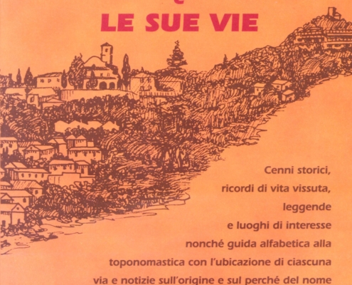 pino torinese e le sue vie